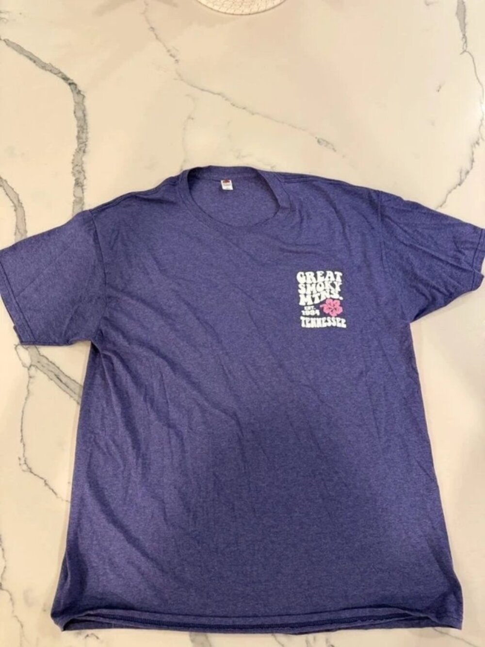 Fruit of the Loom Mens Purple Great Smoky Mountains Graphic T-Shirt L